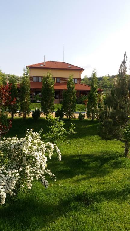 Aqua Party Hotel Victoria  Exterior foto